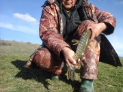 20160306_162801.jpg