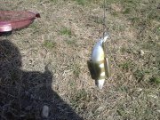20160306_155922.jpg