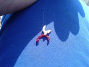 20160310_135828.jpg