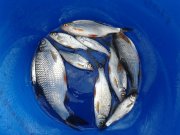 20160310_143545.jpg