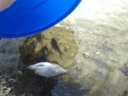 20160310_143556.jpg