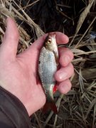 IMG_20160313_083037.jpg