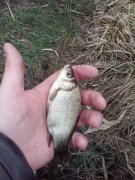 IMG_20160313_111825.jpg