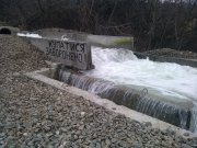 WP_000298.jpg