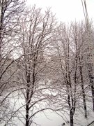DSC02948.JPG