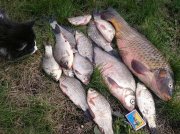 IMG_20160401_130748.JPG