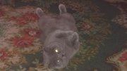 IMAG0133.jpg