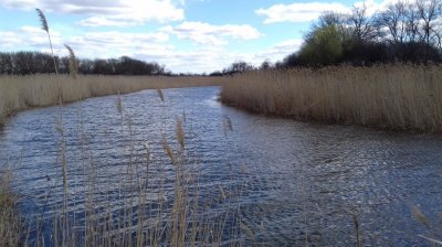 20160403_145825[1].jpg