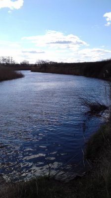 20160403_145809[1].jpg