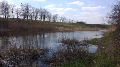 20160405_135810[1].jpg