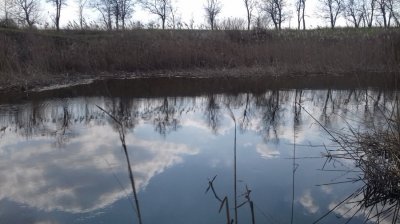 20160405_135805[1].jpg