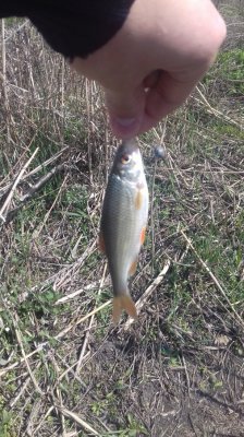 20160405_120747[1].jpg