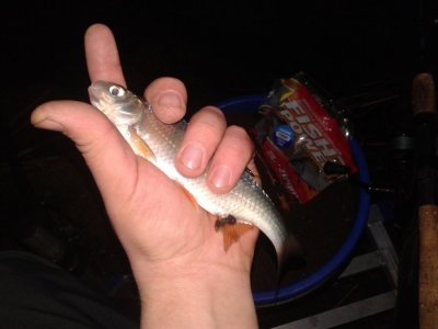20160405_055144.jpg