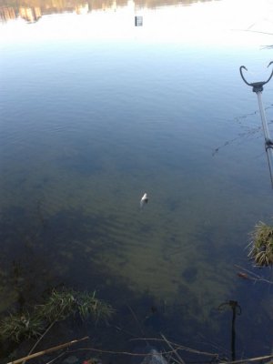 20160405_065223.jpg