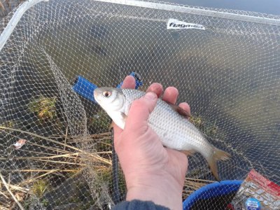 20160405_072208.jpg