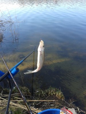 20160405_093455.jpg