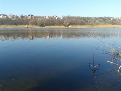 20160405_080441.jpg