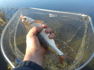 20160405_080144.jpg