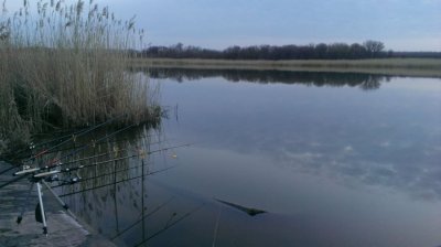 IMAG0502.jpg