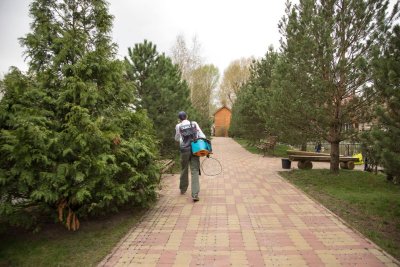 Ydem_pryzy_poluchat__800.jpg
