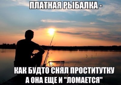 2UrzI0POR5U.jpg