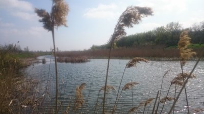 DSC_0855.JPG