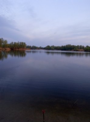P60417-054532.jpg