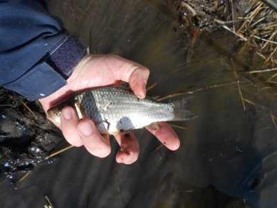 DSCN2775.JPG