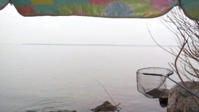 20160420_072554.jpg