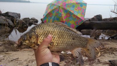 20160420_085716.jpg