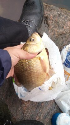 20160420_103756.jpg
