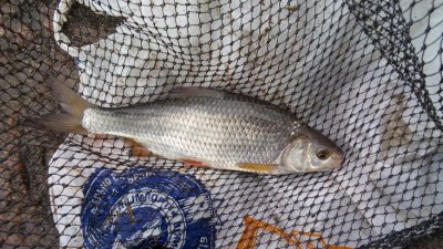 20160420_110055.jpg