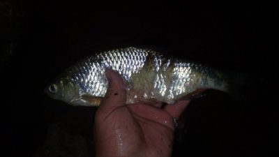 20160420_170407.jpg