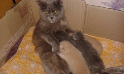 20160413_183234.jpg