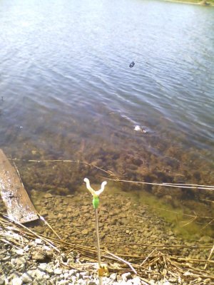 IMG_20160423_093027.jpg