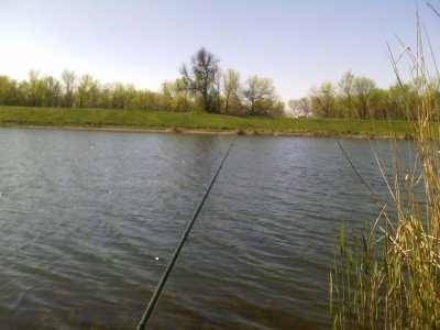 IMG_20160423_095454.jpg