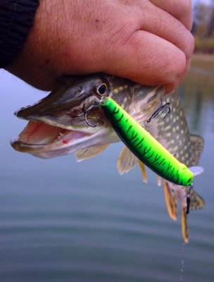 Pike_Death_.jpg