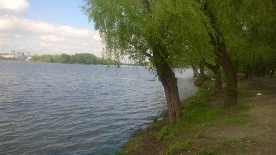 WP_20160428_001.jpg