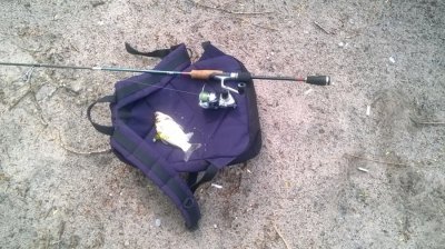 WP_20160428_003.jpg