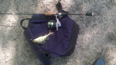 WP_20160428_006.jpg