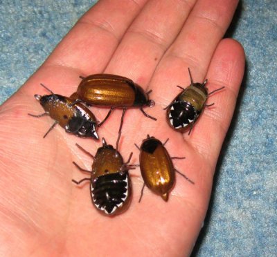 IMG3.jpg