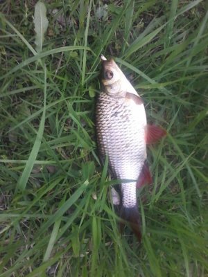 20160429_191456.jpg