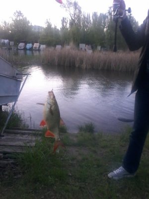 20160429_191439.jpg