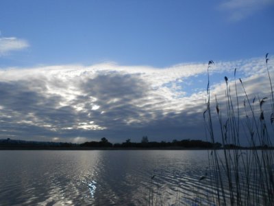 DSCN2799.JPG