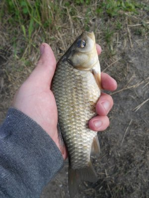DSCN2800.JPG