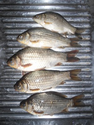 DSCN2806.JPG