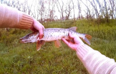 Безымянный.jpg
