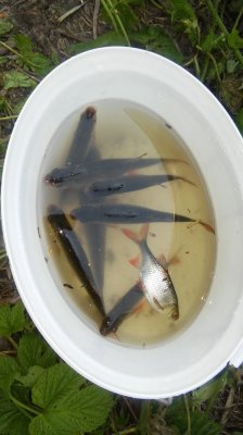 20160502_173156.jpg