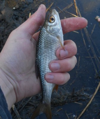 DSCN2808.JPG
