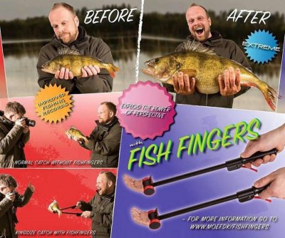 Fish Fingers.jpg